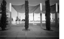 צילום: עמוס ויס 