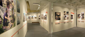 Images from the Land of the Bible