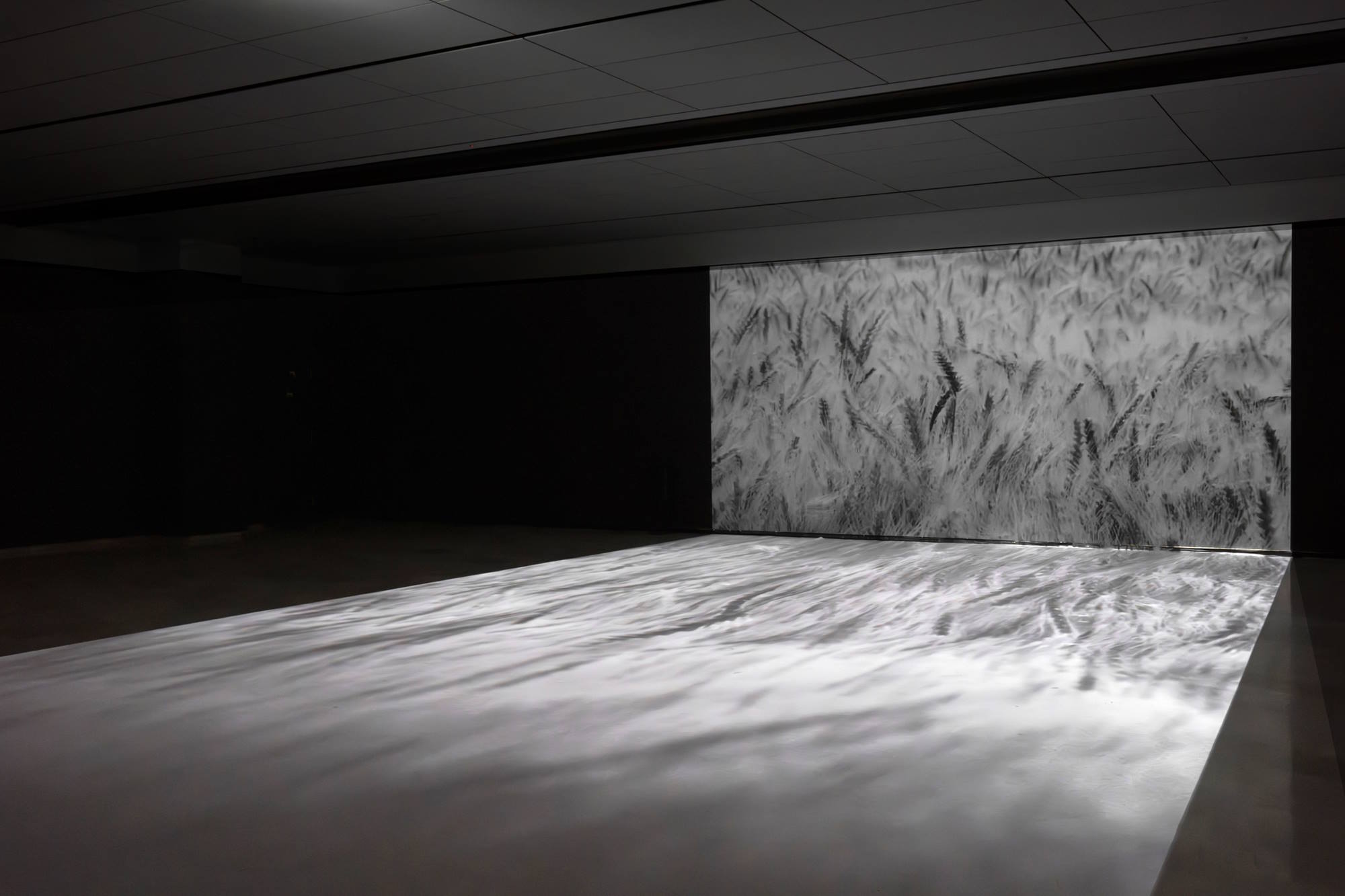 Lee Yanor, COME ABOUT, Video Installation. Installation view. Photo: Daniel Hanoch