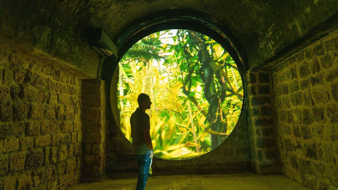 מירב הימן ואילת כרמי, פיזיס, 2020. עבודת וידאו בחלל מנפח הזכוכית. צילום סטילס: אילת כרמי ומירב הימן