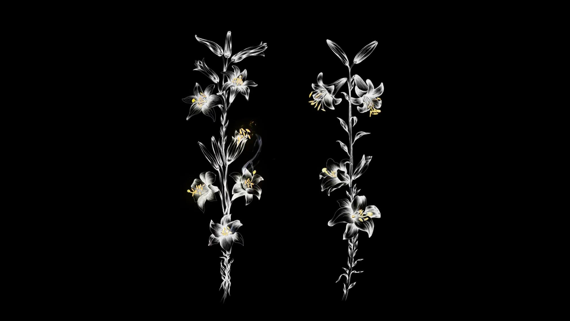 Ether Cohen, A Drop of Sky. Illustration based Video, 2024