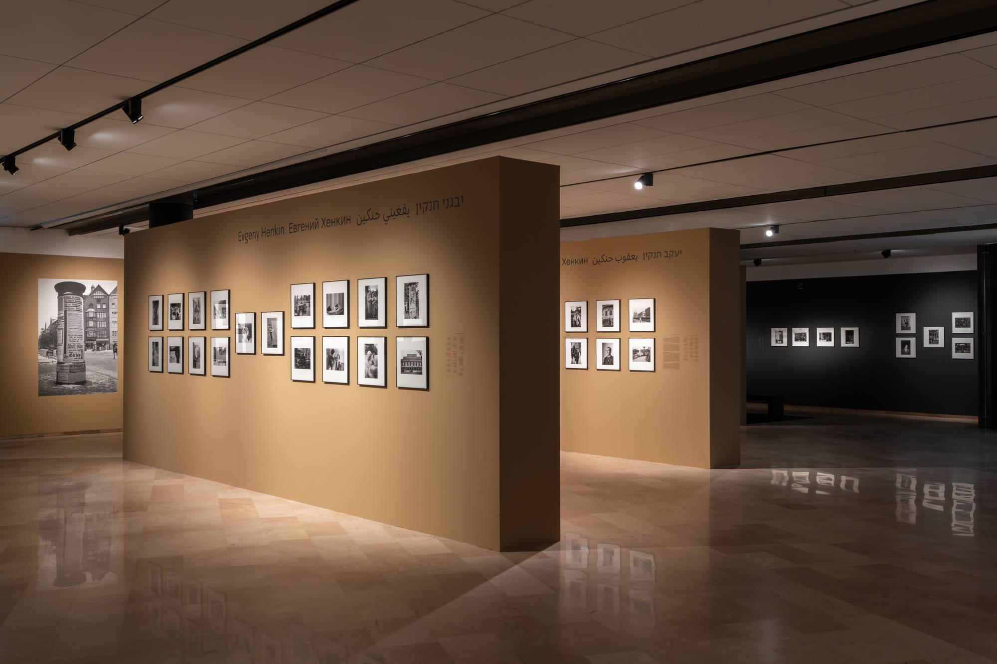 יבגני ויעקב חנקין: זיכרונות מקבילים