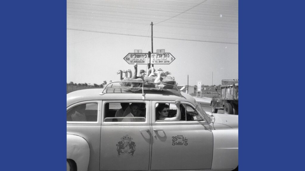 מצעד האווזים, 1956.  צילום: ורנר בראון