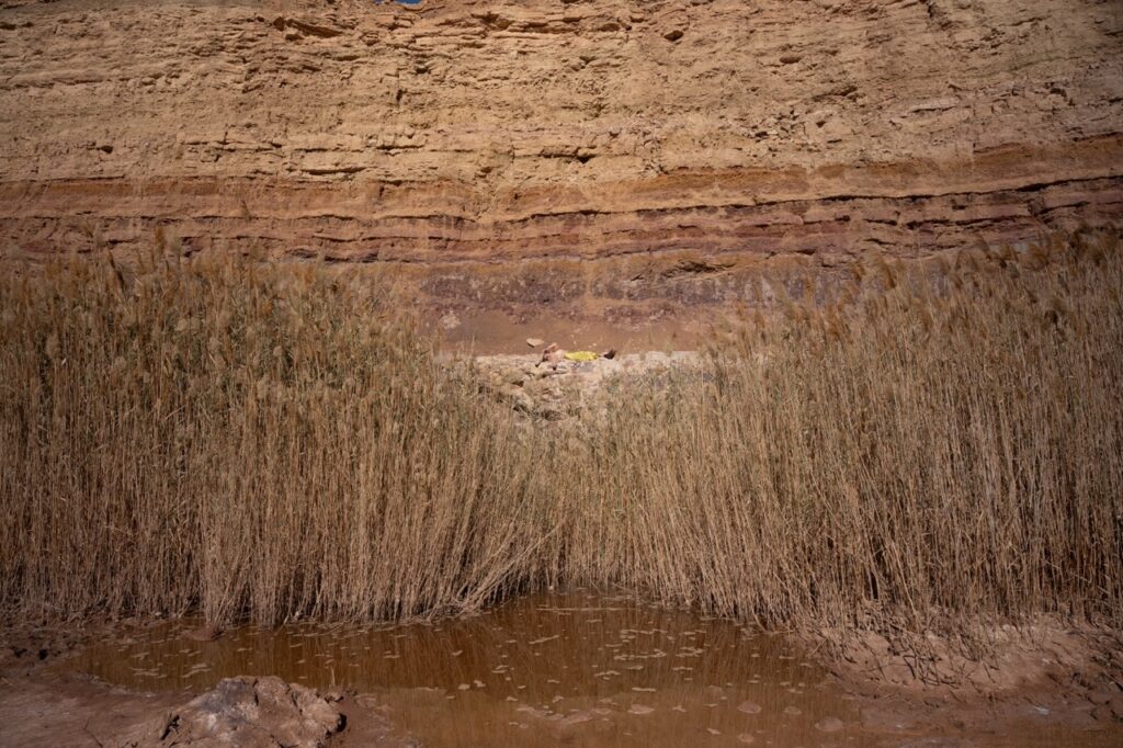 שיח גלריה עם האמנית פאטמה שנאן בתערוכה One Shot