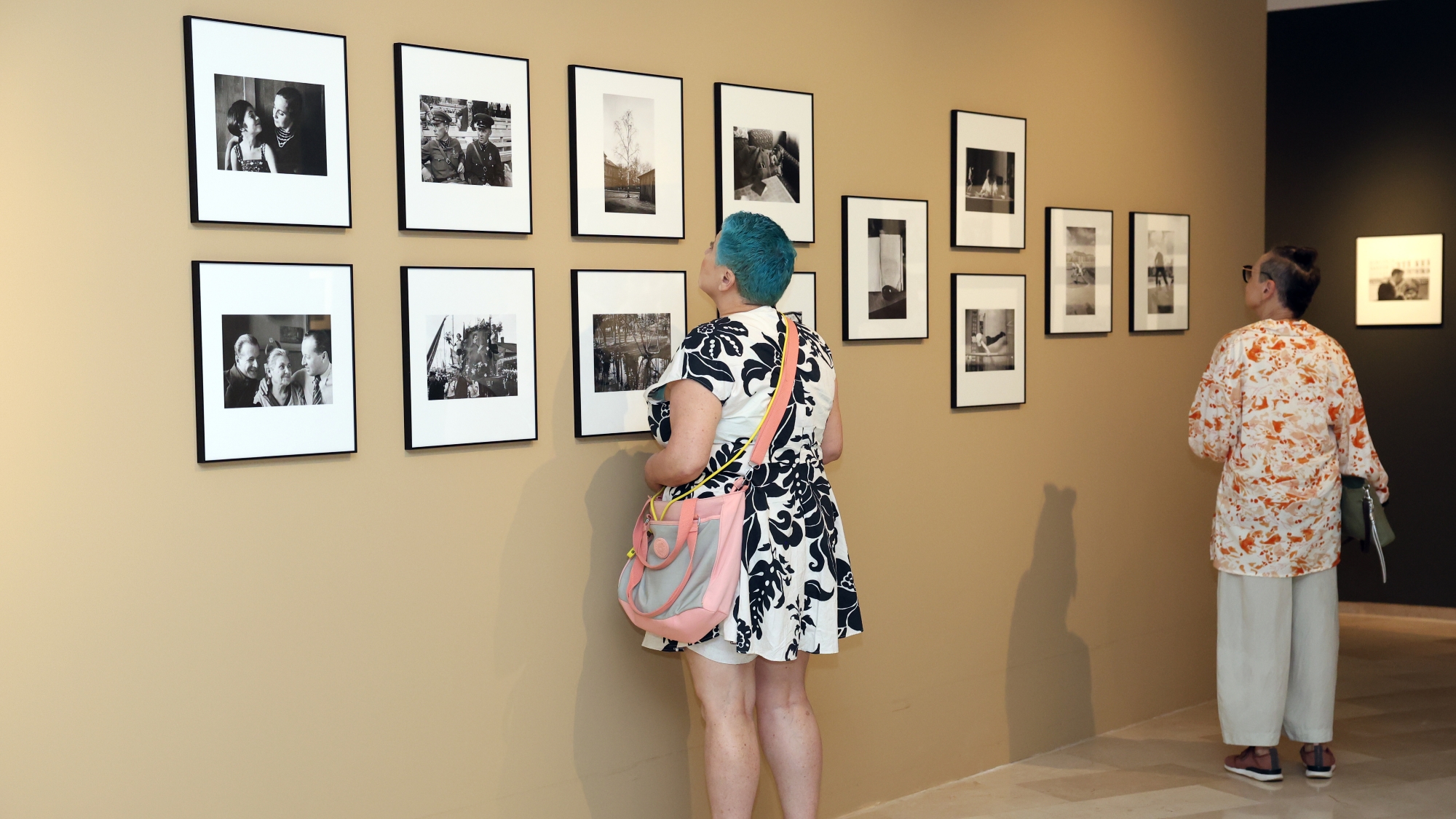 צילום: דנה קופל