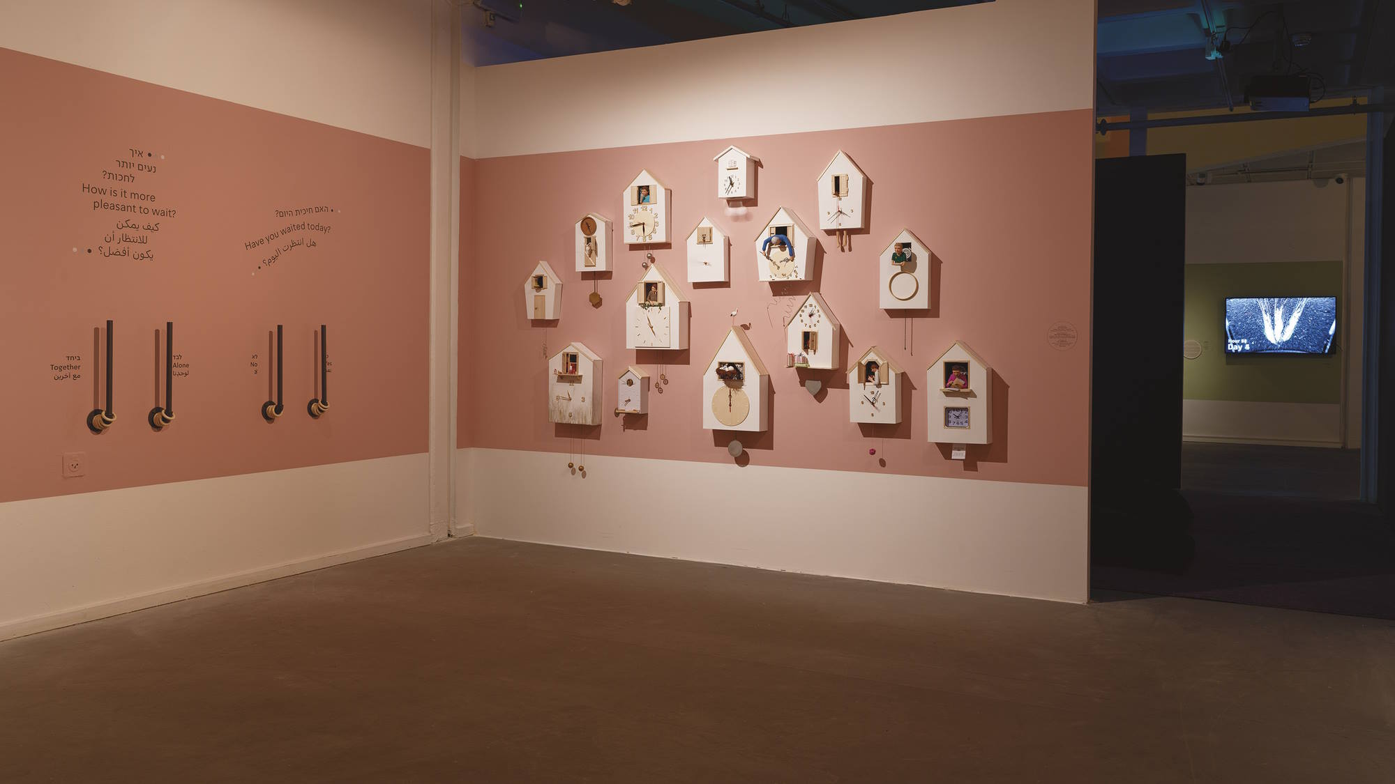 צילום: אבי אמסלם