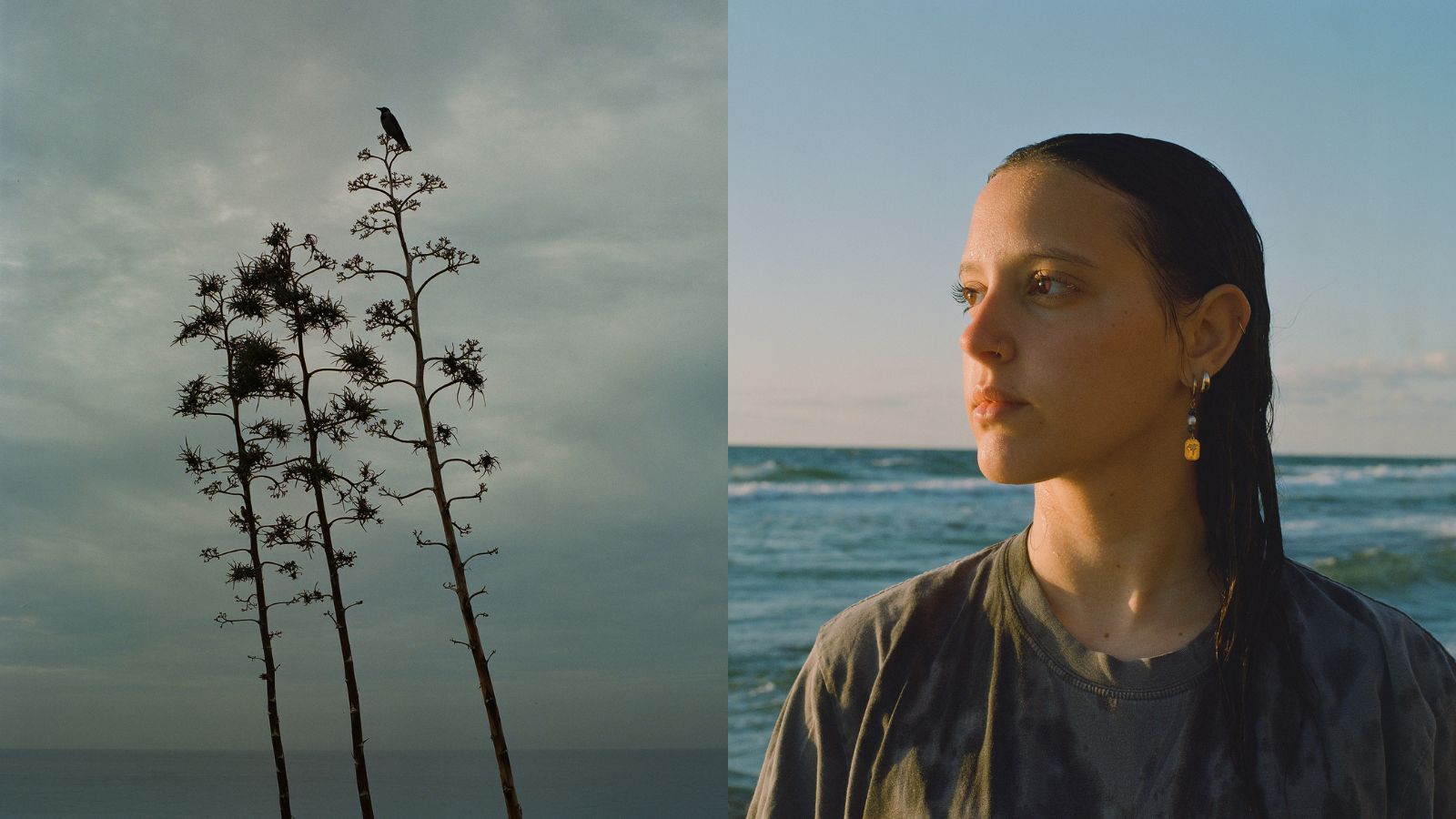 תמונות מתוך התערוכה "אל מול הים" - עמותת "הגל שלי" ודניאל צ'צ'יק. צילום: דניאל צ'צ'יק