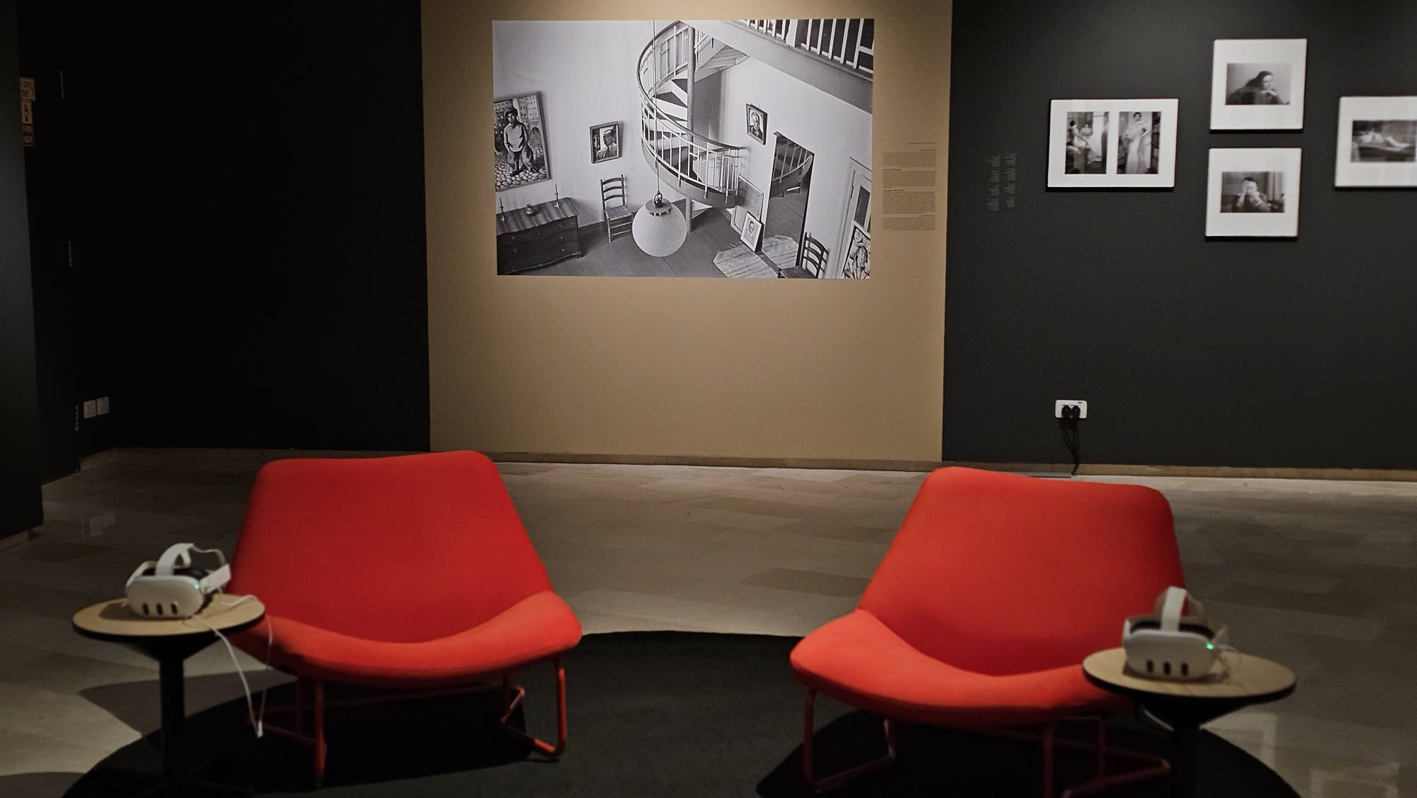 צילום: טל איז'ק