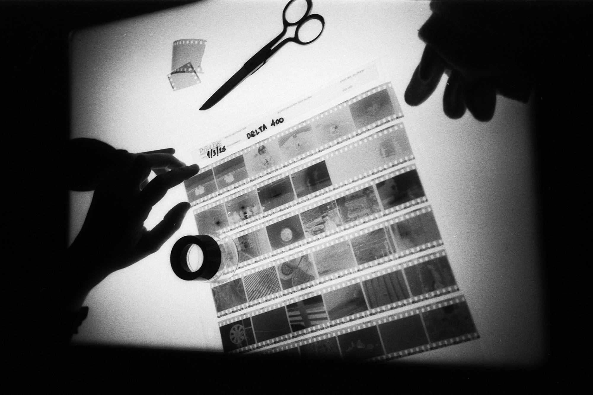 צילום: סטודיו עלטה