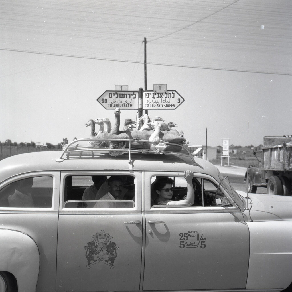 סיור מודרך למבוגרים בתערוכה : ורנר בראון: בין מים לשמים