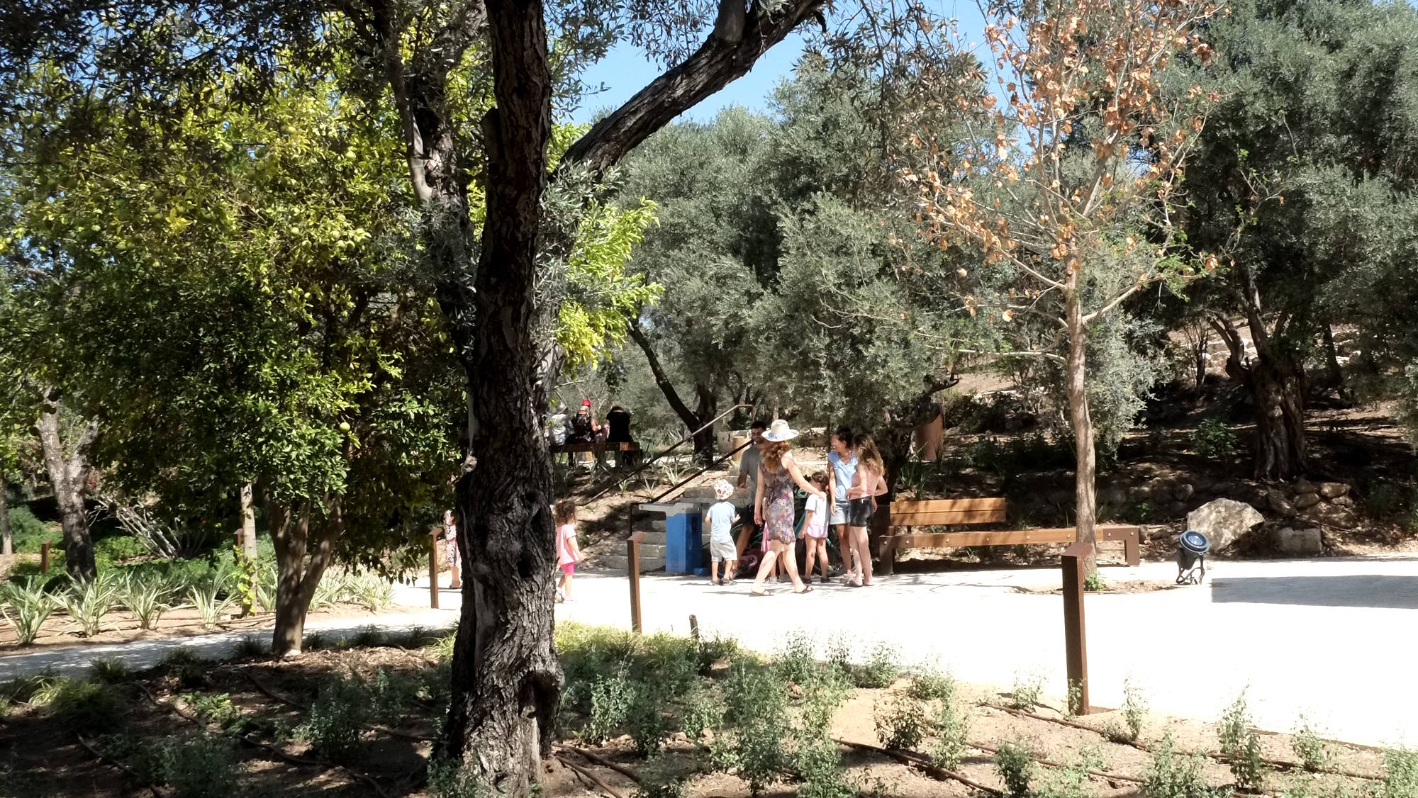  צילום: נוף הררי