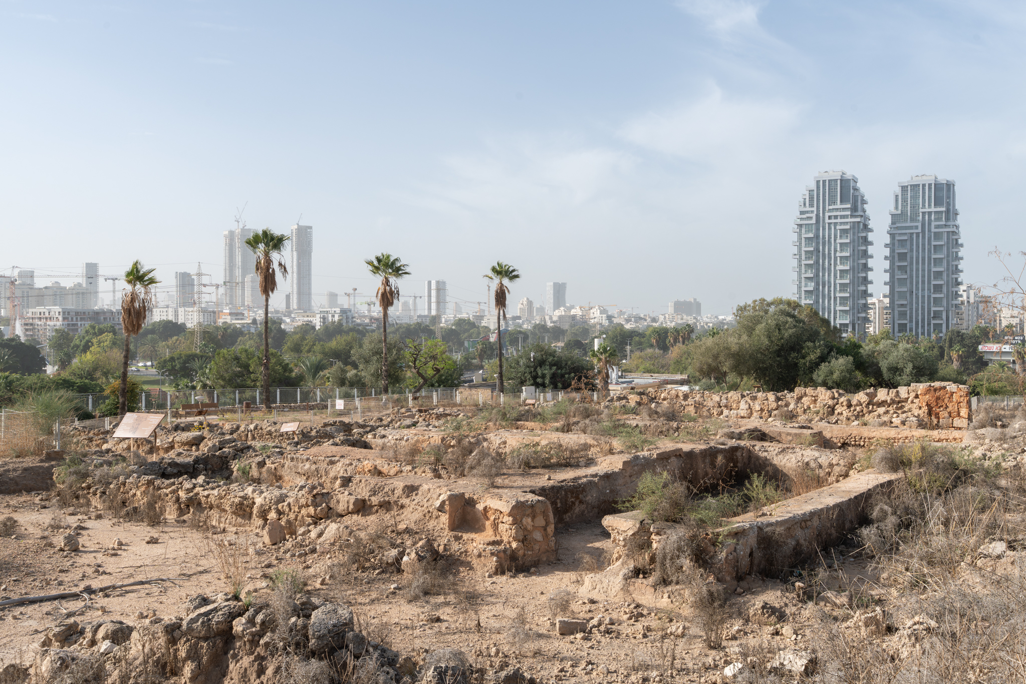 תל קסילה. צילום: דניאל חנוך