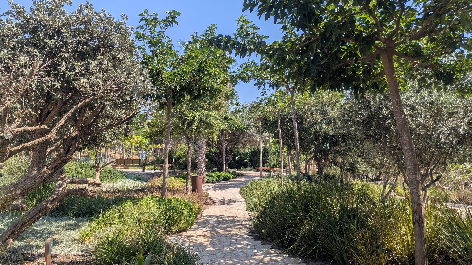 סיור בבוסתן מוז"א כולל ביקור בפרויקט "התל" המוצג בבוסתן במסגרת הביאנלה, עם האוצרת ילנה אלגרט שרון